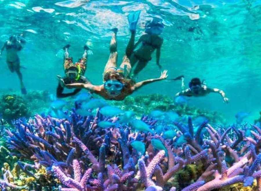 PengalamanSnorkelingdiGiliTrawanganLombok-riee2oakv9of1zbg2d8mfk6t2c9jehree6p46c4dry